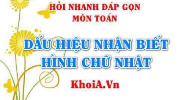 Dấu hiệu nhận biết Hình Chữ Nhật là gì? Hỏi nhanh đáp gọn môn Toán